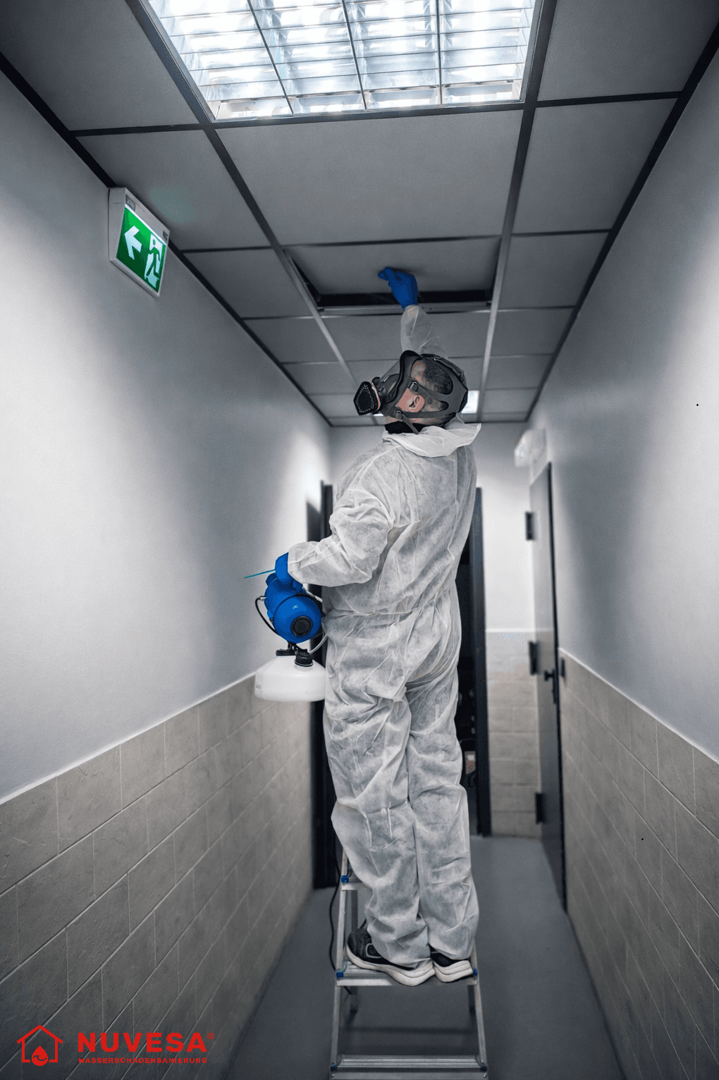 Fogging-Verfahren zur Schimmeldesinfektions – Nuvesa