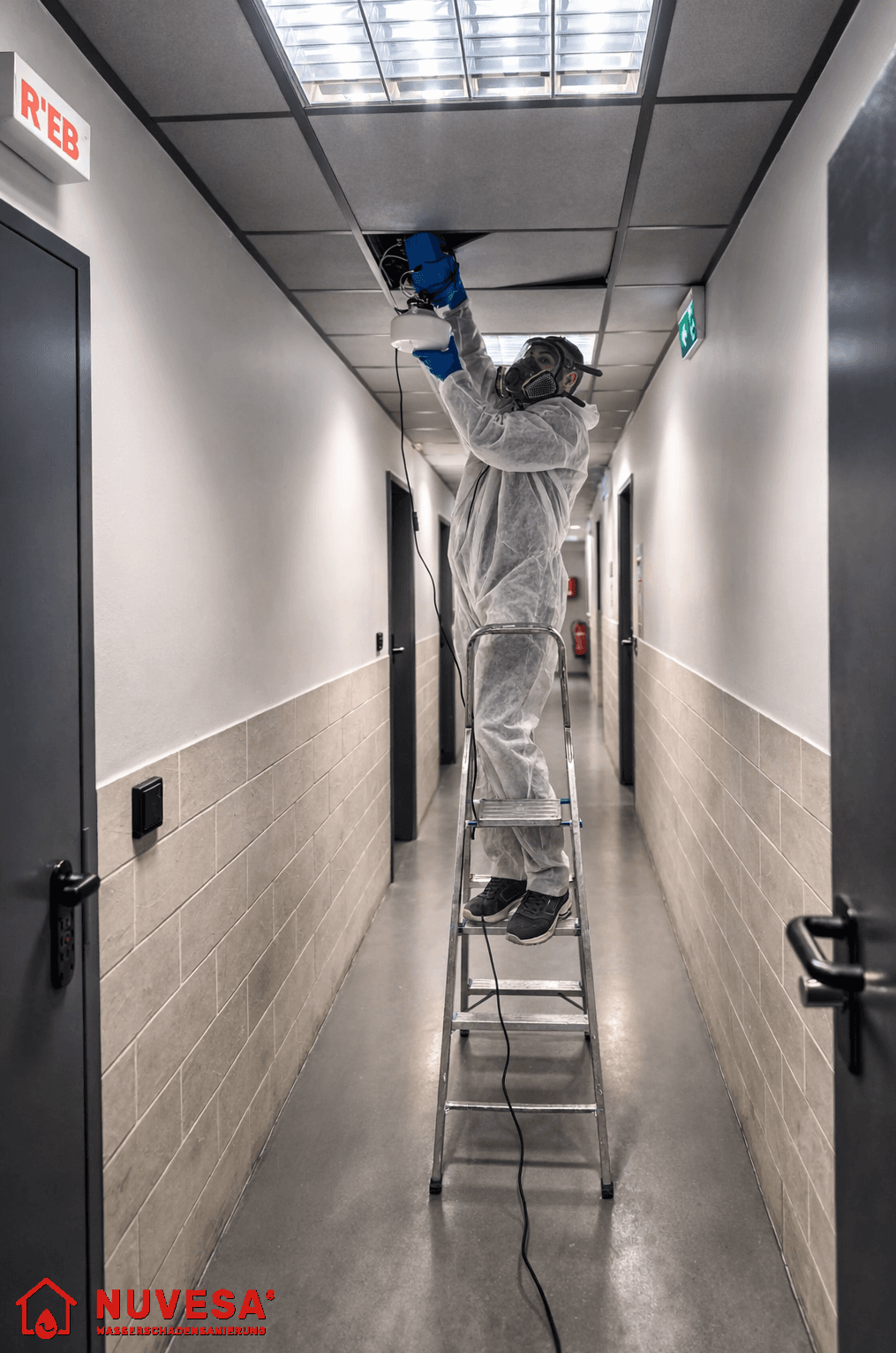 Schimmelbeseitigung Frankfurt – Professionell & Nachhaltig