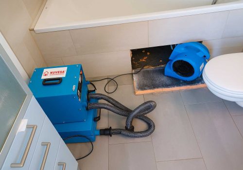 Technische Bautrocknung Frankfurt